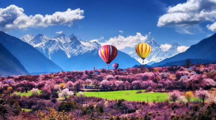 林芝旅游营销推广：揭秘西藏的桃花源